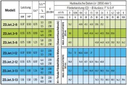 ZDS 4 Zoll Tiefbrunnenpumpe ZDJet.2-8